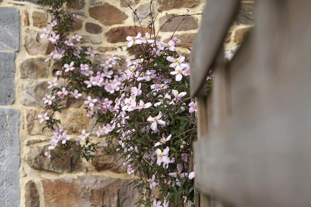 Gite Du Jardin Theux Exterior photo